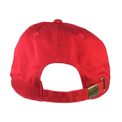 AI Step-over Legend Cap - The Carter Brand - Black By Popular Demand - Rooting For Everybody Black - Black Pride Apparel